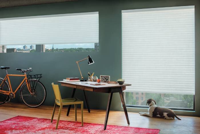 The Ins and Outs of Roller Shades for Homes